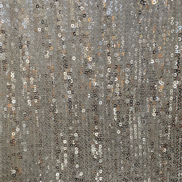 Silver Sequin Dress - Picture 3 of 7